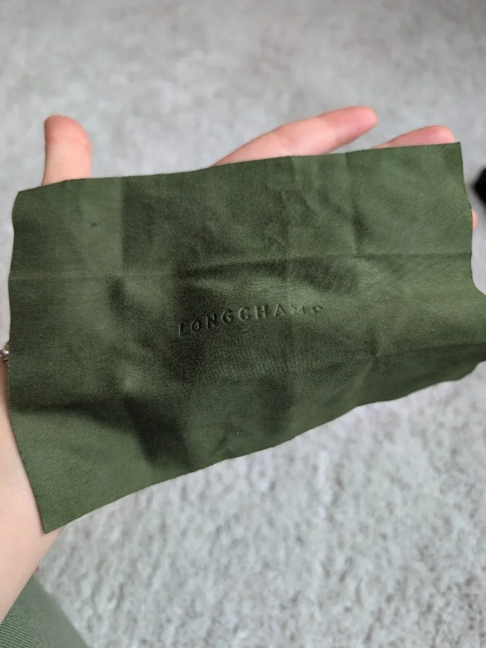 Longchamp gorgeous oversized